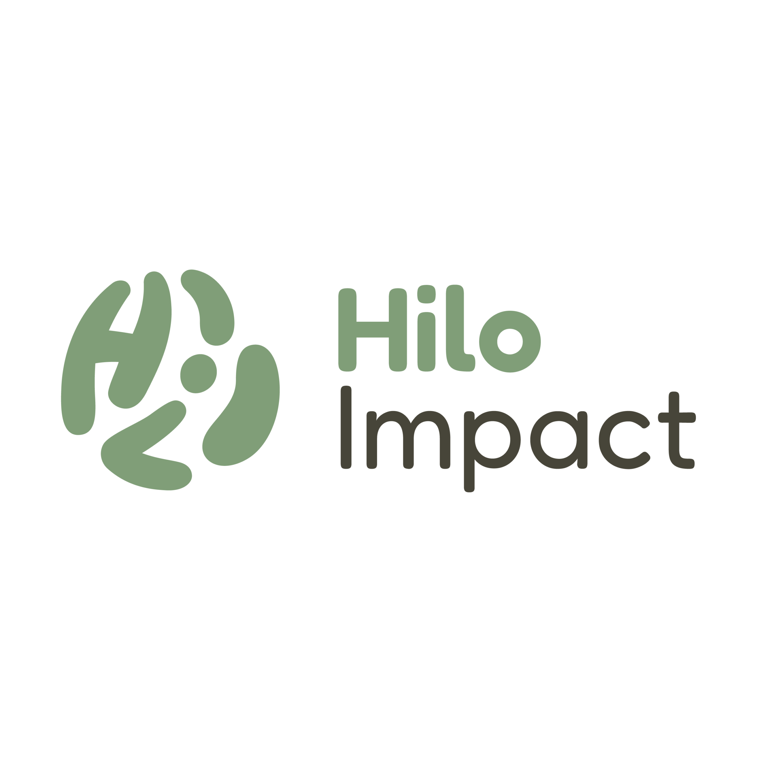 Hilo Impact